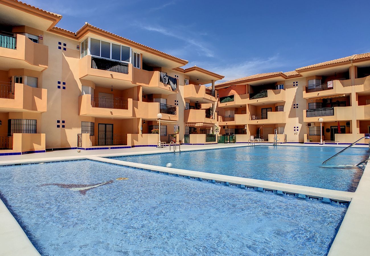 Ferienwohnung in Los Alcazares - Las Gaviotas - 7009