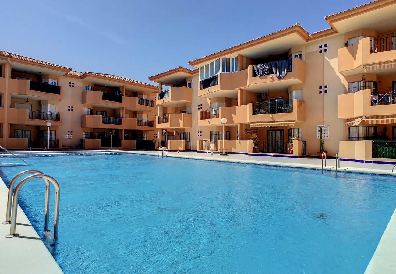 Ferienwohnung in Los Alcazares - Las Gaviotas - 7009