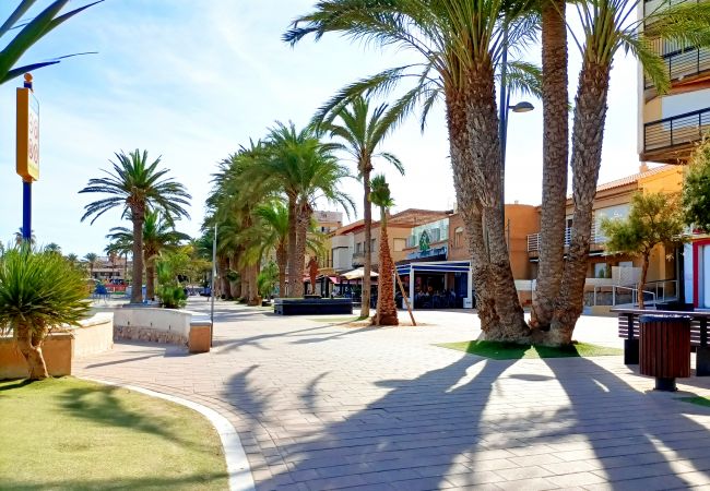 Ferienwohnung in Santiago de la Ribera - Elisa Beach Apartment - 8209 Ferienwohnung in Santiago de la Ribera - Elisa Beach Apartment - 8209