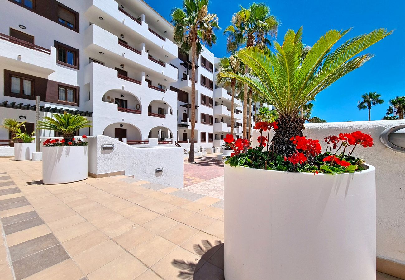 Ferienwohnung in Los Alcazares - Serena Golf & Sea Suite - 0111