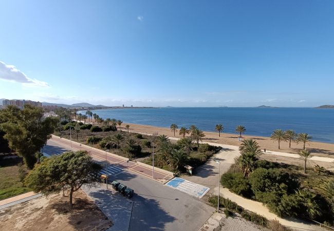 Apartamento en Playa Paraiso - Villa Cristal - 9907 Apartamento en Playa Paraiso - Villa Cristal - 9907