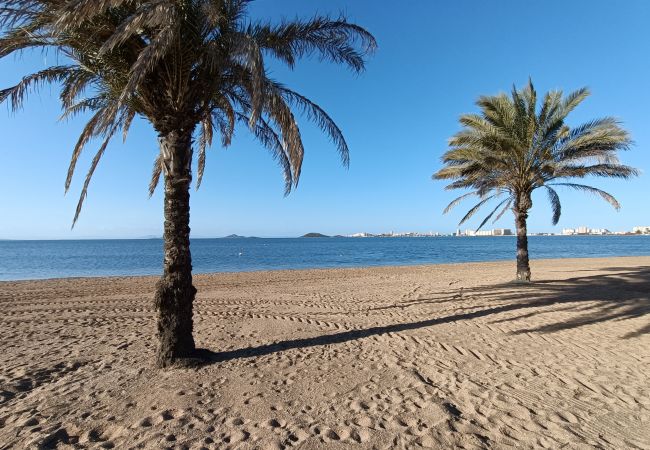 Apartamento en Playa Paraiso - Villa Cristal - 9907 Apartamento en Playa Paraiso - Villa Cristal - 9907