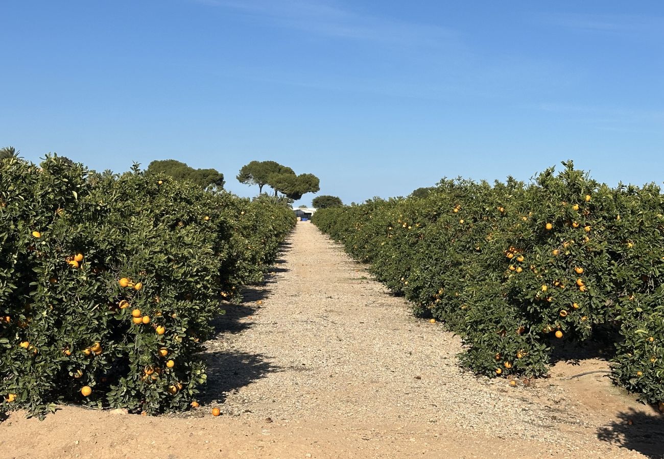 Villa en San Javier - Villa Verano San Javier - 6610