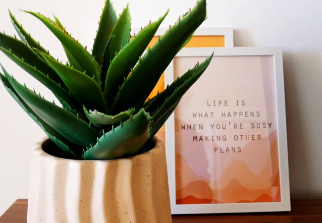 Appartement in Torre Pacheco - Santa Rosalia Lake & Life Resort - 1410 Appartement in Torre Pacheco - Santa Rosalia Lake & Life Resort - 1410