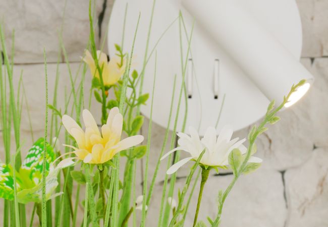 Appartement in San Pedro del Pinatar - La Llana Beach 4 - 2310 Appartement in San Pedro del Pinatar - La Llana Beach 4 - 2310