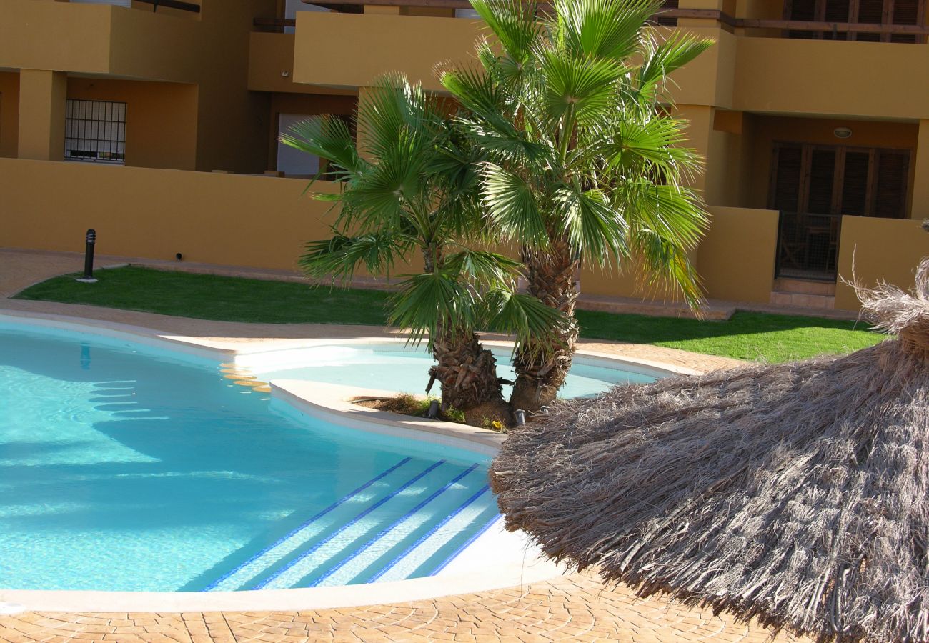 Swimming pool in Albatros Playa 3 - Resort Choice