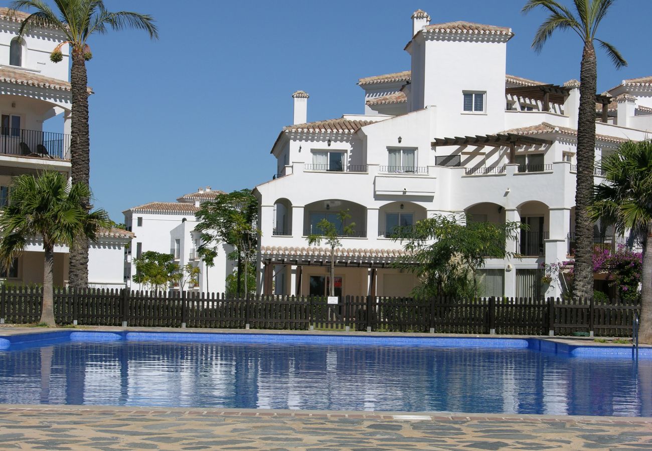 Beautiful swimming pool of Hacienda Riquelme apartment 