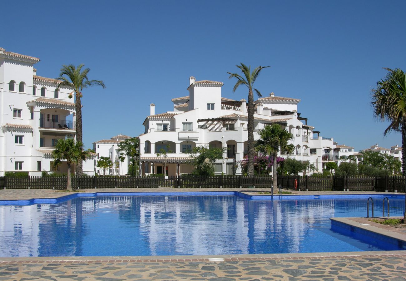 Beautiful swimming pool of Hacienda Riquelme apartment 