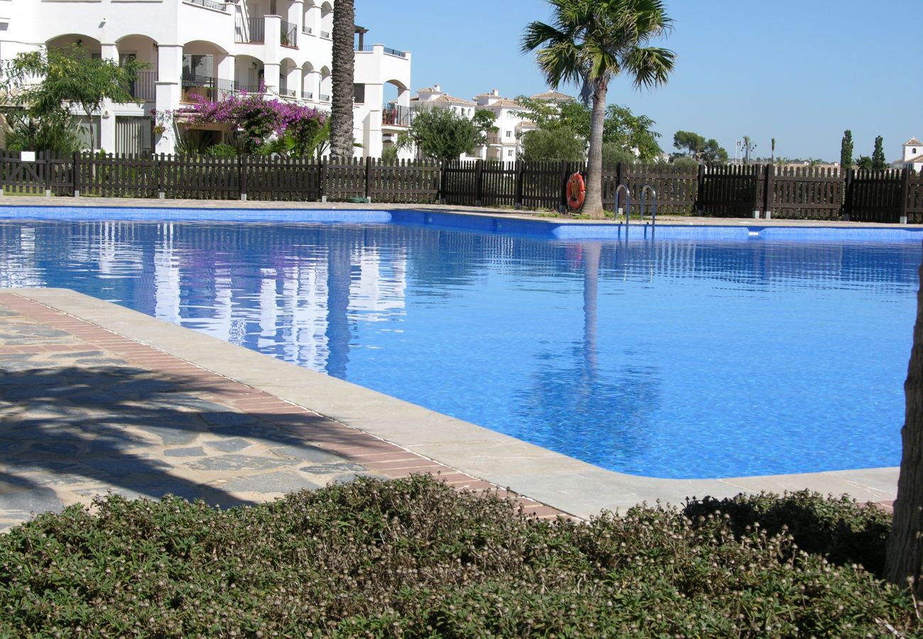 Beautiful swimming pool of Hacienda Riquelme apartment 