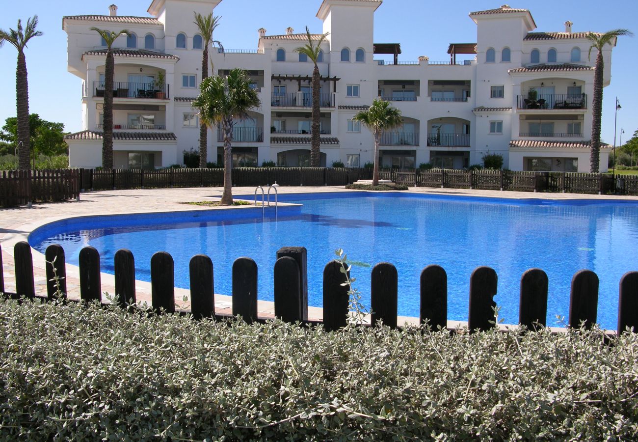 Beautiful swimming pool of Hacienda Riquelme apartment