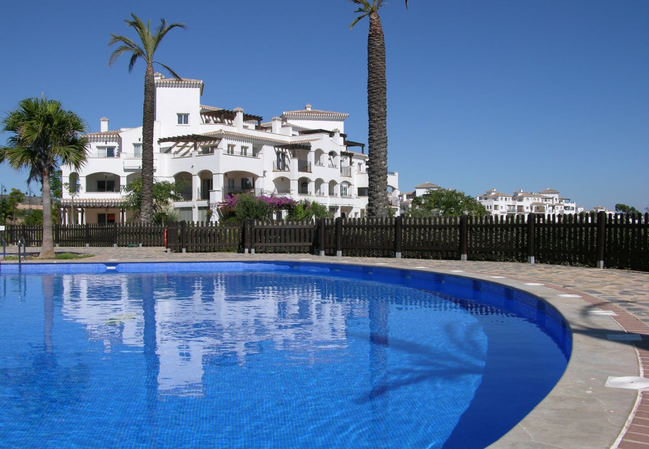 Beautiful swimming pool of Hacienda Riquelme apartment