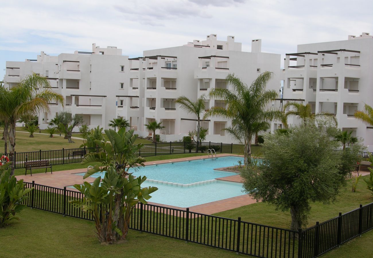 Beautiful swimming pool of Las Terrazas de La Torre Golf apartment