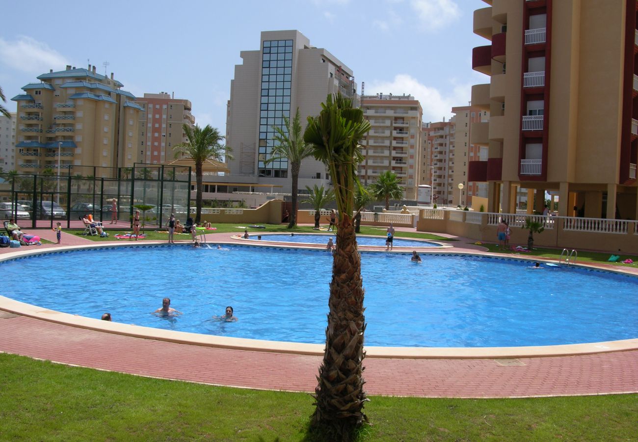 Large swimming pool in Los Miradores del Puerto complex - Resort Choice