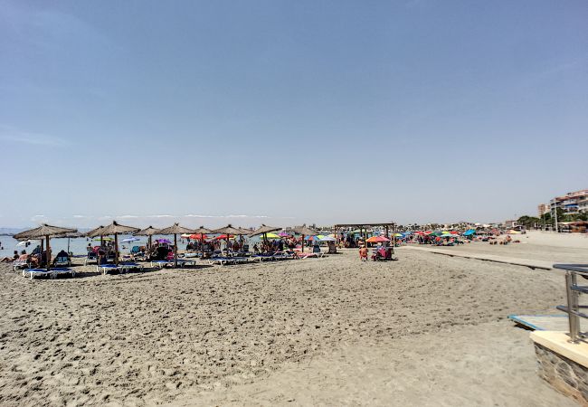 House in San Pedro del Pinatar - San Pedro del Pinatar House - 5409 House in San Pedro del Pinatar - San Pedro del Pinatar House - 5409