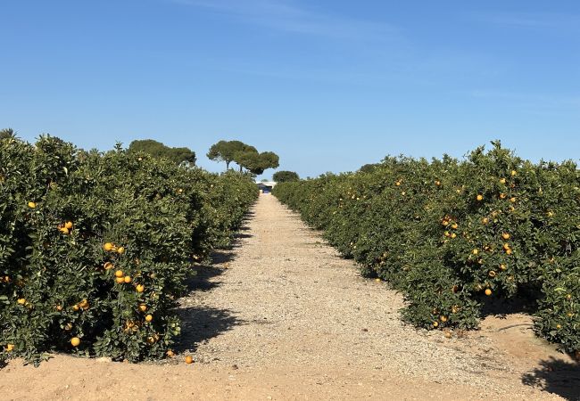 Вилла на San Javier - Villa Verano San Javier - 6610 Вилла на San Javier - Villa Verano San Javier - 6610